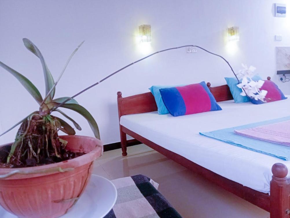 Apartamento Hikka 280